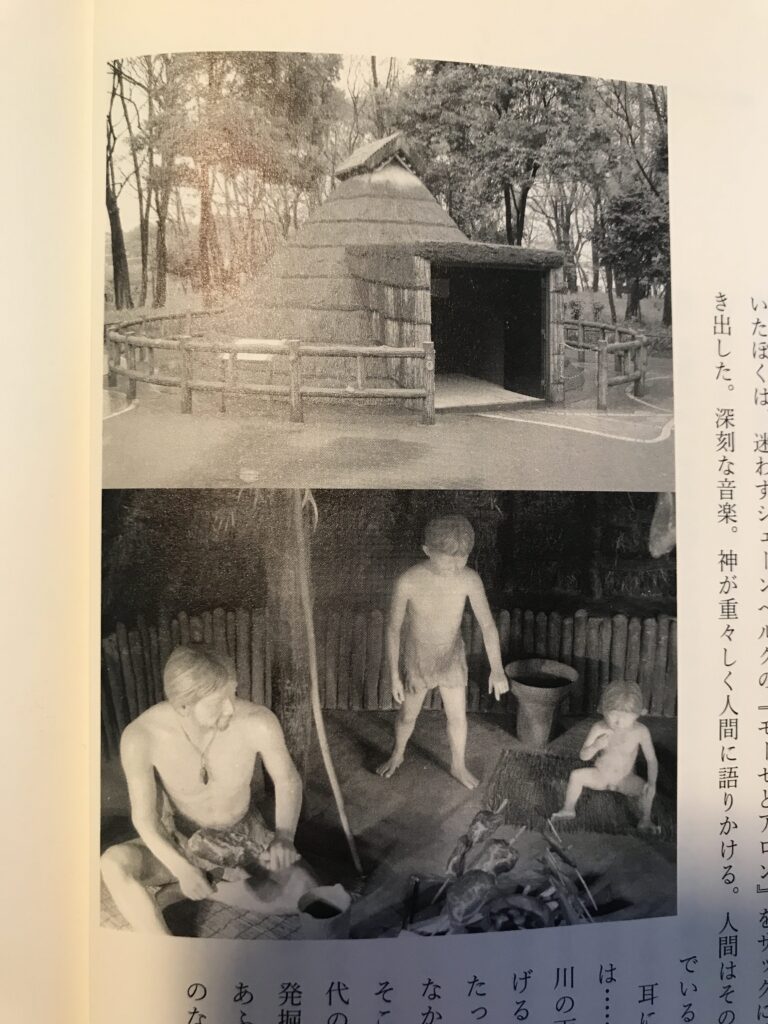 塚山公園縄文遺跡